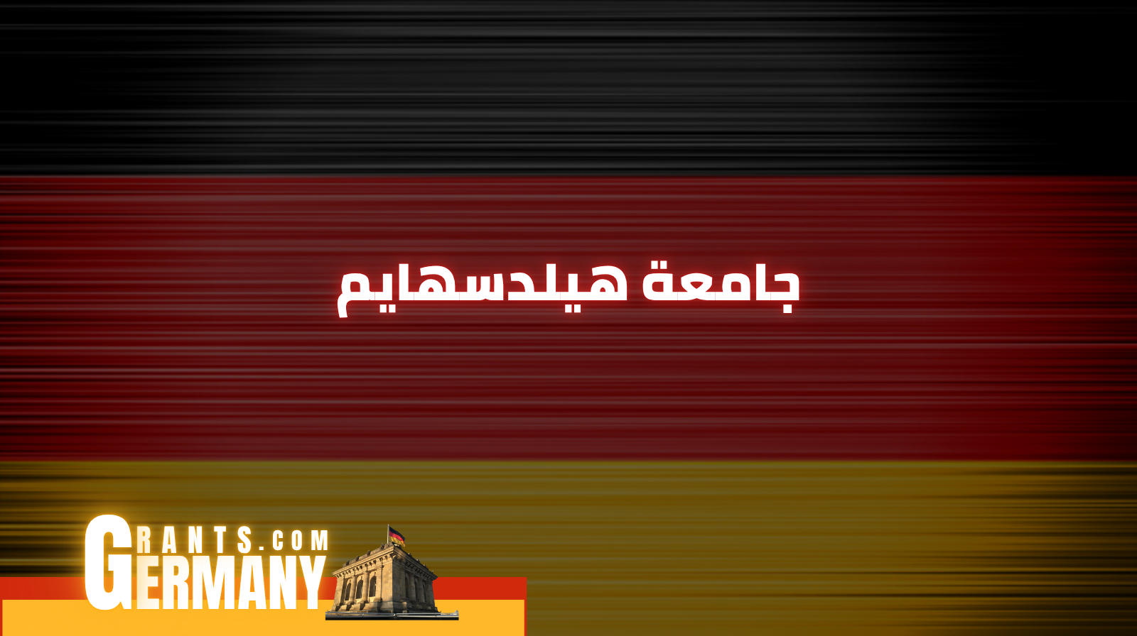 جامعة هيلدسهايم